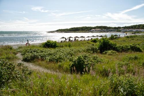 Apelvikens Camping & Cottages in Apelviken