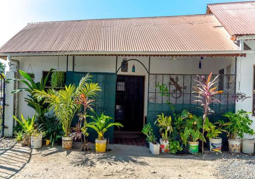 Hotelli välisilme, Gecko Cottage - Cosy 2-Bedroom in Bagamoyo Old Town in Bagamoyo