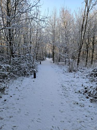 Silver Birch Nabb Lane Woods Hot tub near Alton Towers in Croxden