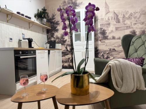 virtuve, Apartament Lawendowe Zdroje in Barczyzna