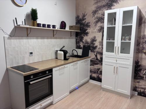 virtuve, Apartament Lawendowe Zdroje in Barczyzna