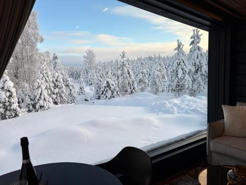 View, Raitola Reindeer and Husky Farm- Panorama Lodges in Apukka