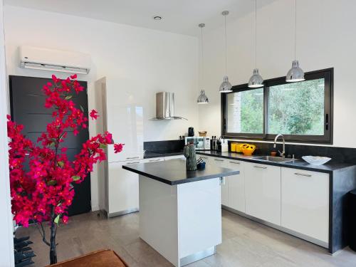 Casa Caseddu, Heated pool, 4 people, Bonifacio in 博尼法喬