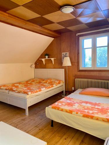1 double bed, 1 sofa bed