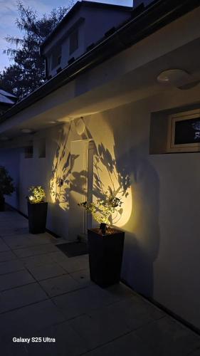 Viesnīcas āriene, Gočár apartment Eliška (Gocar apartment Eliska) in Prysk