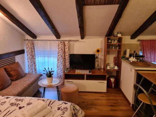Apartmani Viola in Momjan