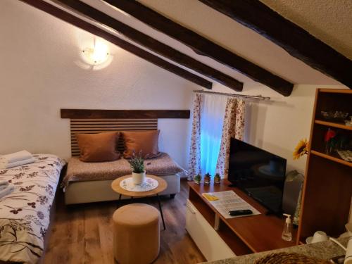 Apartmani Viola in Momjan