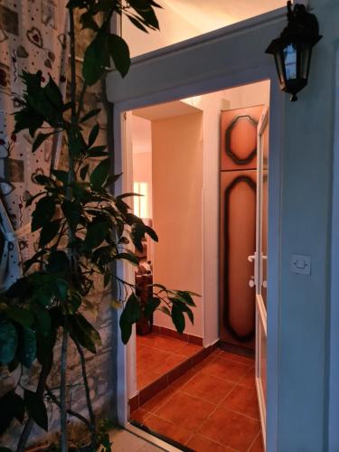 Apartmani Viola in Momjan