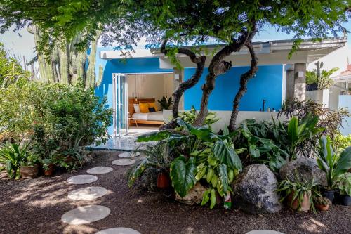 Naïma Luxury Home, Cottage & Apartment Rentals (Naima Luxury Home, Cottage & Apartment Rentals) in Paradera