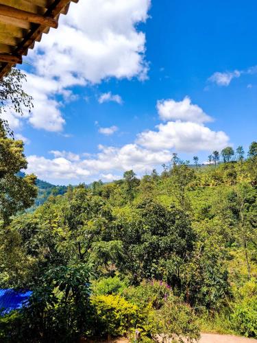 Ella Tea Mountain in 엘라
