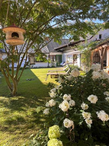 Dārzs, Ferienhaus am Land in Maria Bild