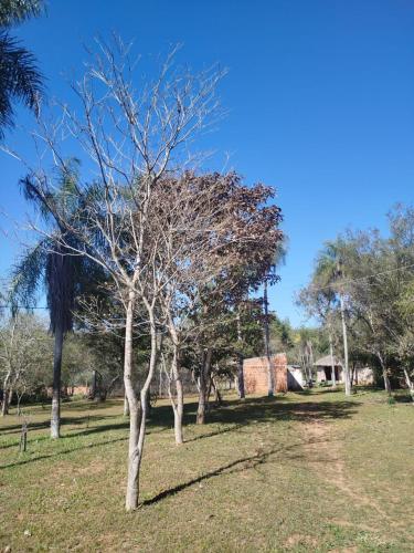 Instalaciones, Rancho Felicia y Moisés (Rancho Felicia y Moises) in Piribebuy