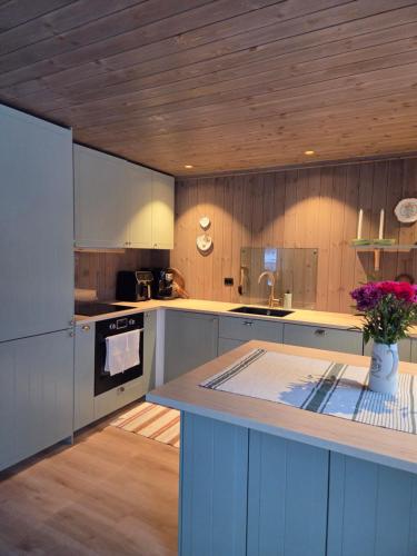 Harteigen cabin in 斯塔姆松