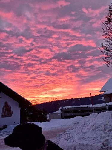 Ferienwohnung Gfrerer Althofen in Mariapfarr