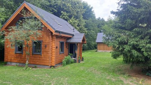 Bez Planu in Szelkow