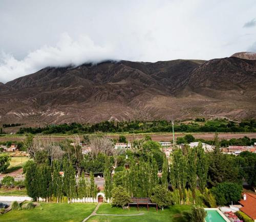 Cabaña los amarillos (Cabana los amarillos) in Huacalera