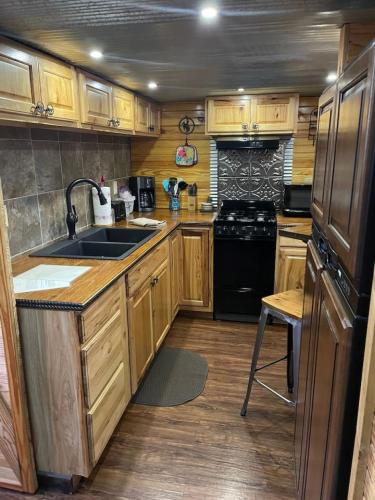 Secluded Ozarks Cabin in the woods Eminence MO in Mountain View (MO)