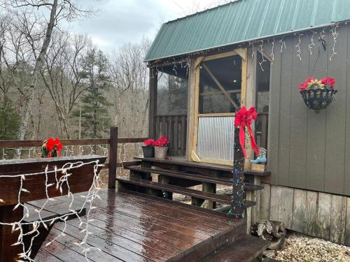 Secluded Ozarks Cabin in the woods Eminence MO in Mountain View (MO)