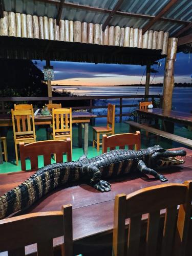 tapiri anavilhanas lodge in Novo Airão
