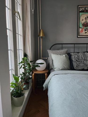 Cozy Apart Central Oasis