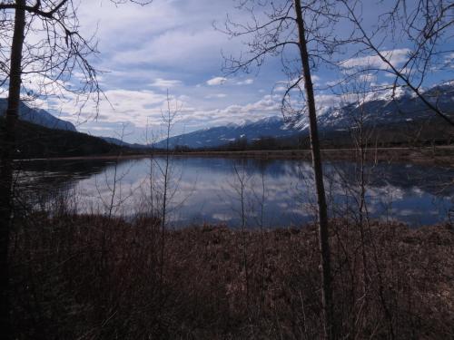 景觀, Friendly Footprint in 戈爾登市區