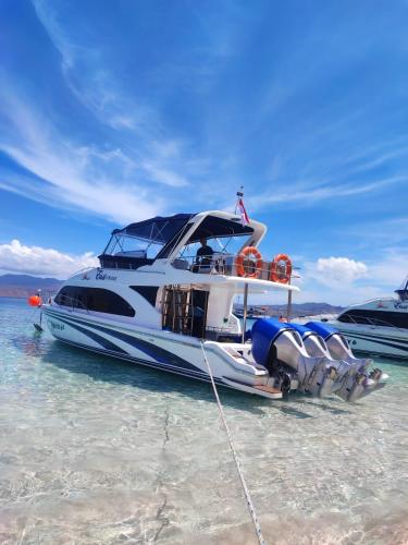 One Day Tour Komodo 6 Destination With Exclusive Speedboat Labuan Bajo - Komodo