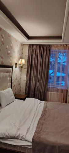 Anush Hotel in Jermuk