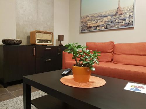 MgTels Apartman - image 6