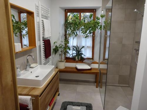 Bathroom, Ferienwohnung Am Odenwaldlimes in Michelstadt