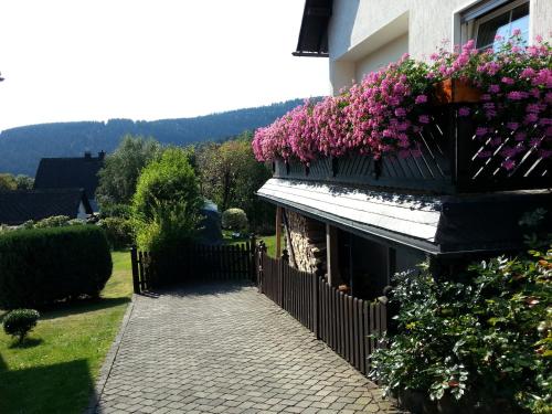 Ferienwohnungen Luge - Winterberg - image 4