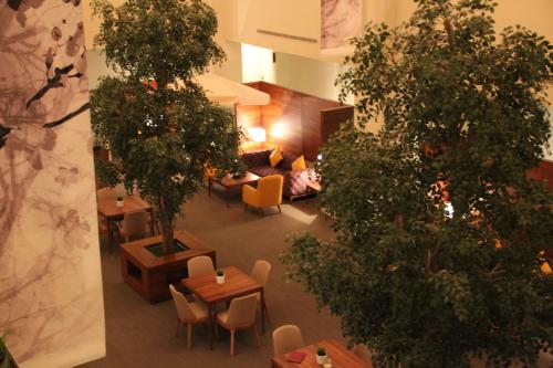 رفاء النزهة رفاء النزهة