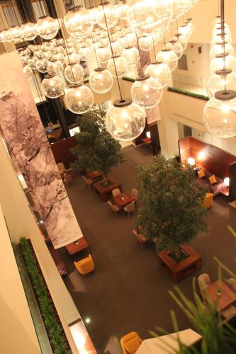 رفاء النزهة رفاء النزهة