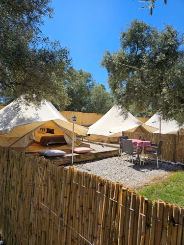 حديقة, Ruina Glamping in شوكيرتمي