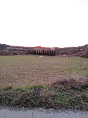 Moixons in Calonge de Segarra