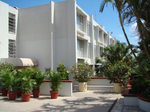 Plaza Hotel and Suites - image 5