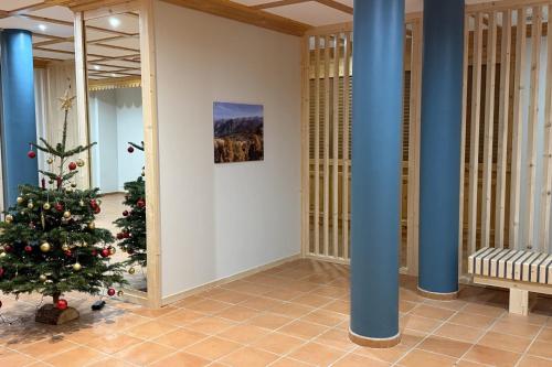 Bright studio in Risoul ski on foot and comfort in Risoul