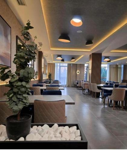 Étterem, Apartman ELITE B5 Residence Hill in Kopaonik