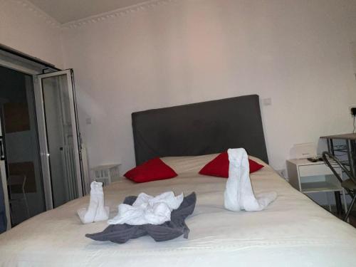 Princeps De Cure Gazi - image 5
