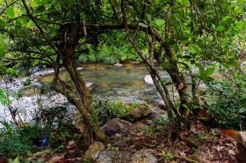 Suriya Villa & Resort in 데라니야갈라