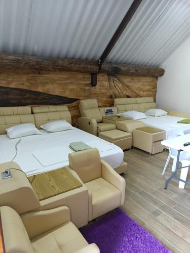 CHALET - SCEA 2222 Site Agrotouristique in Kourou