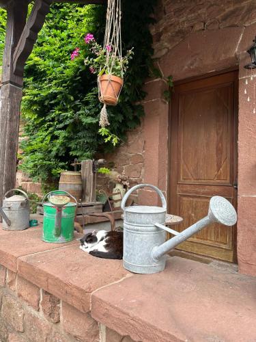 Ferme Mellon in Niederbronn-les-Bains