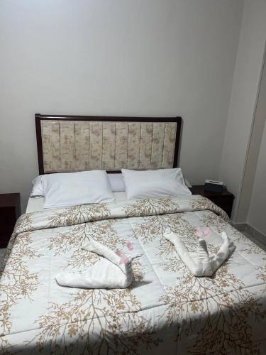 Farida Pyramids inn& Jacuzzi - image 8
