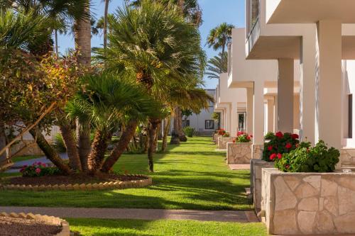 Alua Suites Fuerteventura - image 10