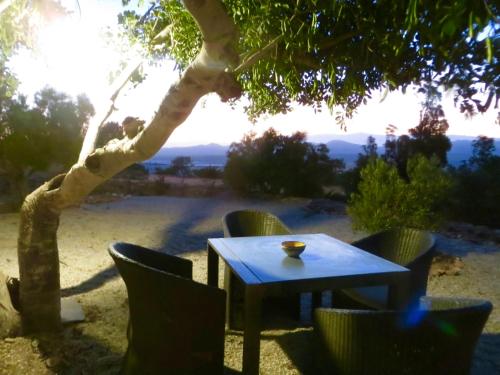 Cortijo Django in Losalbarikokve