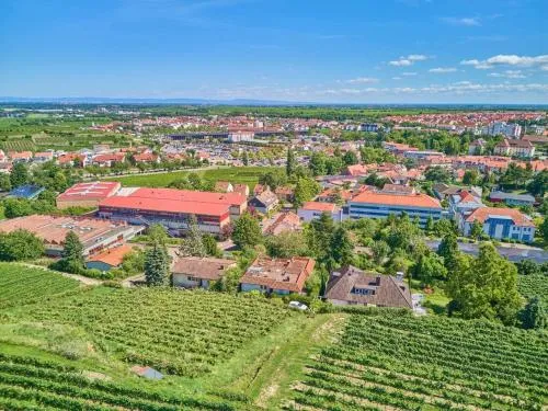 Weinbergnest in Bad Dürkheim, Deutschland