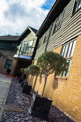 The Essex Golf & Country Club Hotel - image 11