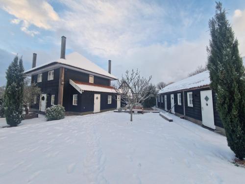  Bed & Breakfast Donna in Pijnacker