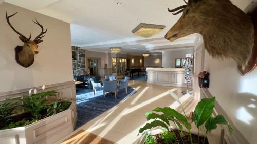 Фойє, Cabarfeidh Hotel in Сторновей