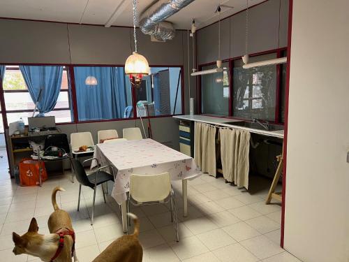 Apartamento privado 7p in Sabadell