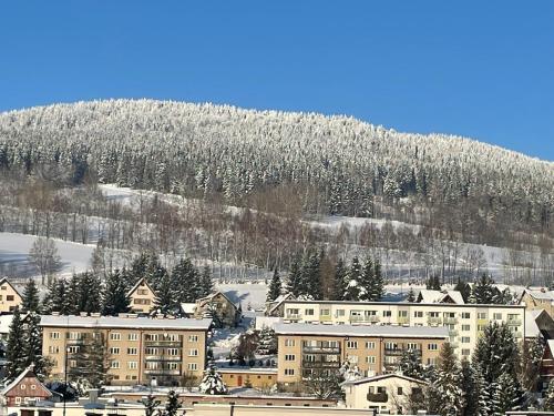 景觀, Apartmán Votoček (Apartman Votocek) in 羅基尼茨納德傑茨羅